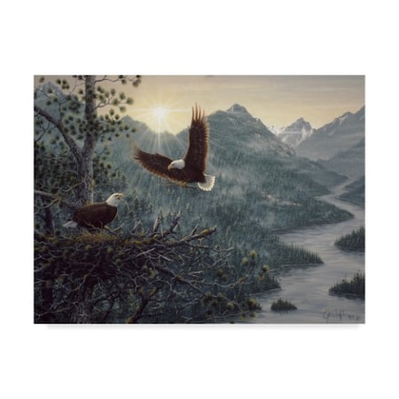 Jeff Tift 'Eagles Nest' Canvas Art,18x24